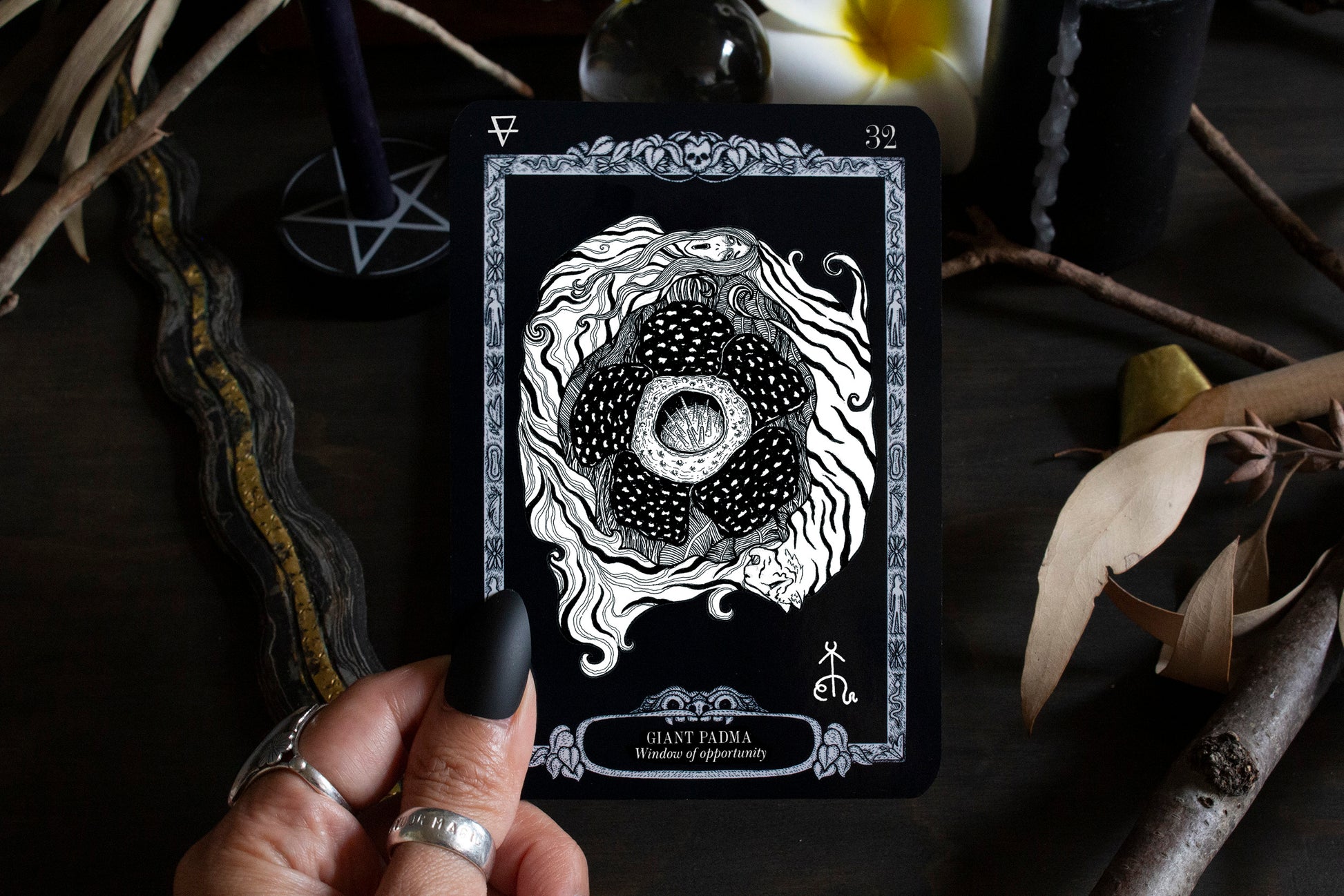 A woman holding a card featuring a Giant Padma, that symbolises a window of opportunity in the Mystic Islands Oracle deck. 